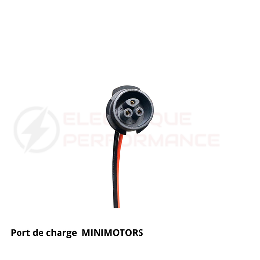 Port de charge MINIMOTORS Electrique Performance