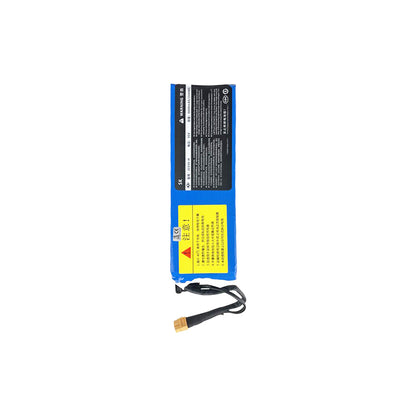 Batterie pour Draisienne 36V 6AH