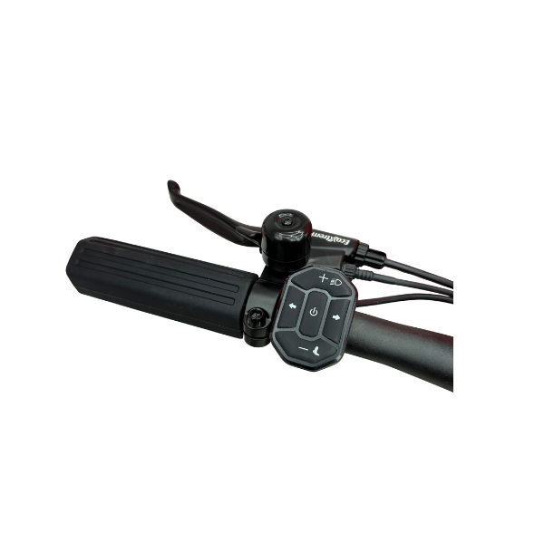 Trottinette électrique EcoXtrem Deimos 1000w - Batterie 48v 15,6Ah Electrique Performance