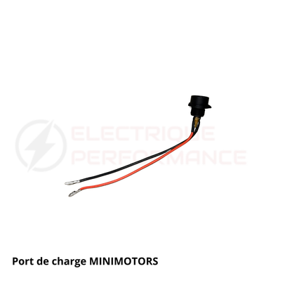 Port de charge MINIMOTORS Electrique Performance
