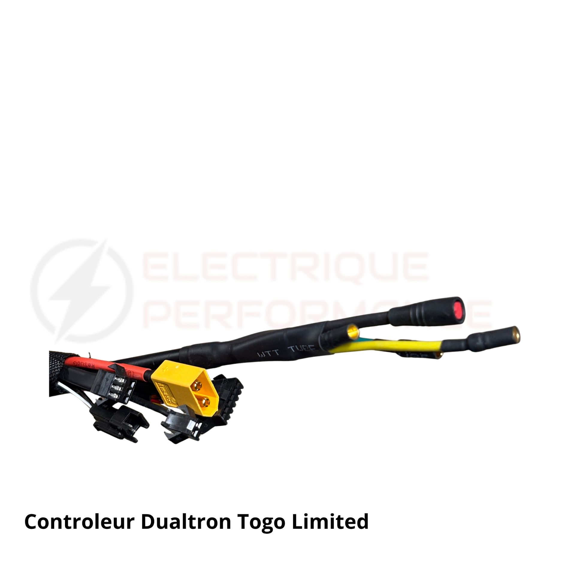 Contrôleur Minimotors 60V 25AH Togo Limited Electrique Performance